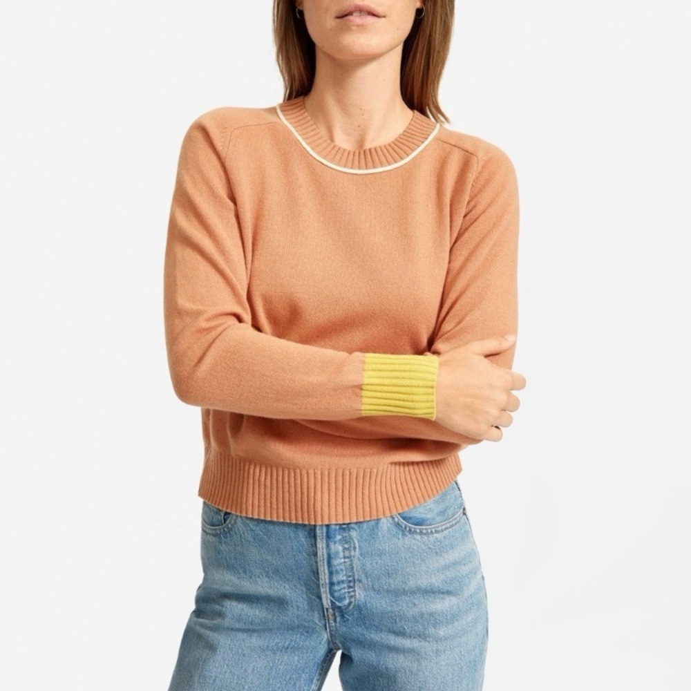 Everlane Re- Cashmere Colorblock Crew Sweater, small